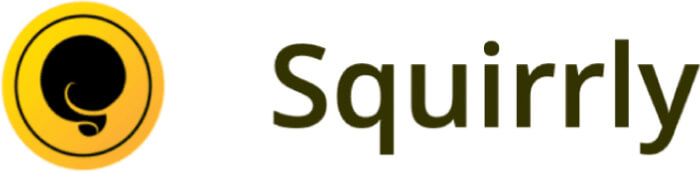 beste wordpress seo plugins squirrly