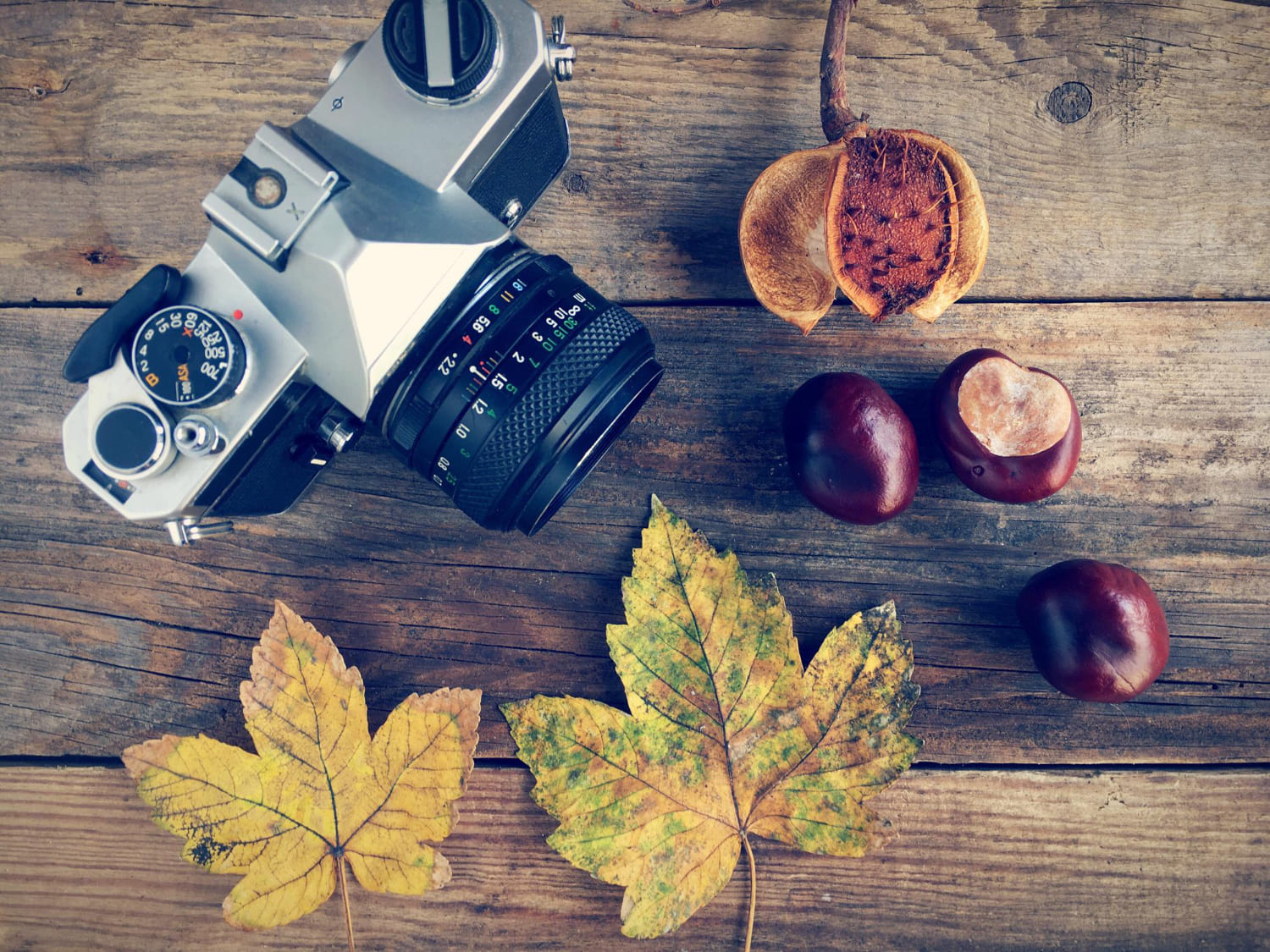 Mag ik legaal stockfoto’s gebruiken? de complete gids voor veilig en slim beeldgebruik.